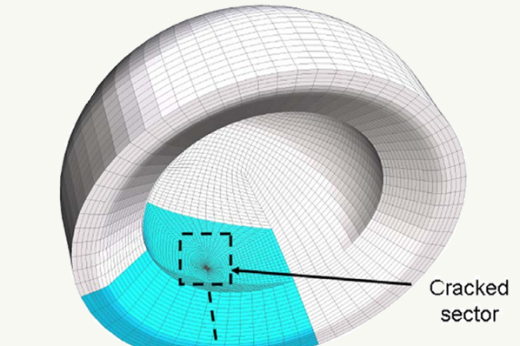 Biomechanics of failure modalities in total hip arthroplasty