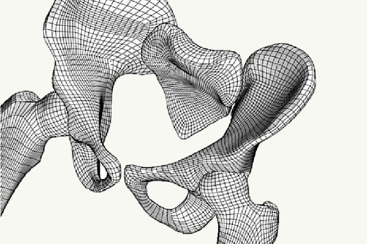 Problem Solving Environments