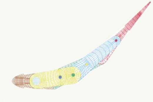 Shape Adaptive Airfoils for Turbomachinery Applications: Simulation and Optimization